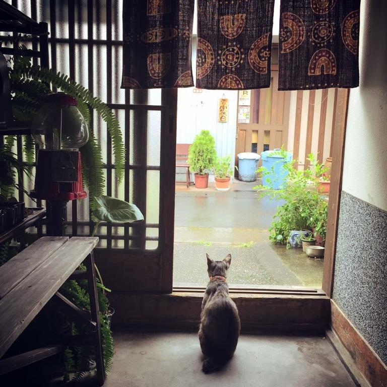 Buddha Guest House Tanabe Exterior foto